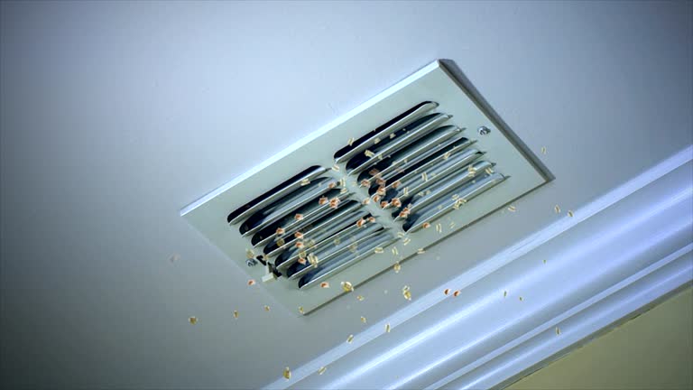Best Professional Duct Cleaning Services  in Sand Lake, MI
